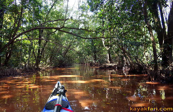 Flex Maslan Kayak Everglades homestead canal kayakfari bear mud lake canoe flamingo trail mound bugs camp 2016