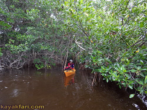 Flex Maslan Kayak Everglades homestead canal kayakfari bear mud lake canoe flamingo trail mound bugs camp 2016