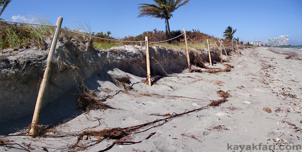 flex maslan kayakfari Whiskey Creek Dania Irma hurricane kayak beach conch damage impact erosion storm surge