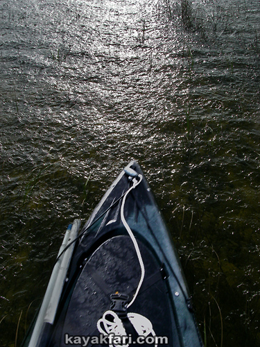 Flex Maslan everglades kayakfari paddle Sweet Bay Pond Ingraham liquor canoe kayak hurricane Irma prairie