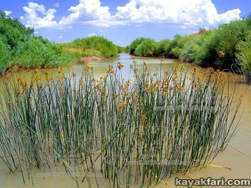 Flex Maslan Cochiti Abiquiu Lake kayakfari paddle kayak riparian spring photography New Mexico rio grande art