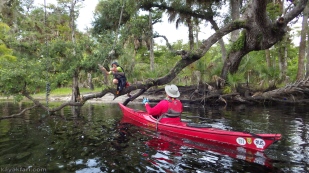flex maslan photography kayakfari fisheating creek fec adventure paddle kayak sfp palmdale florida river
