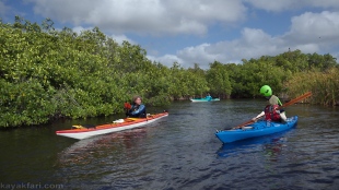 flex maslan kayakfari paddle kayak turner river everglades chokoloskee mangrove tunnel creek mound south florida