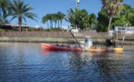 flex maslan kayakfari photography kayak paddle wilton manors city loop Colohatchee park island ft lauderdale river