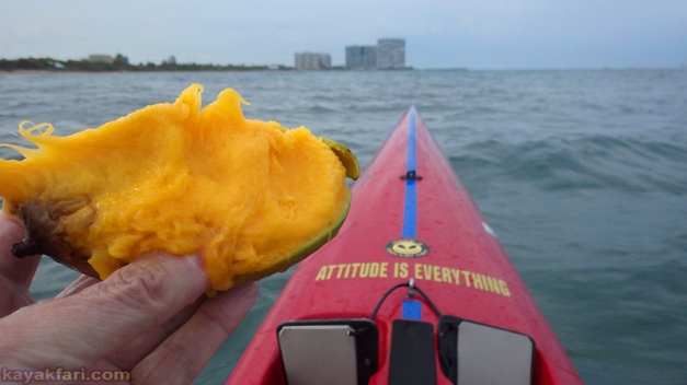 flex maslan kayakfari coronavirus kayak paddle covid-19 quarantine ft lauderdale photography port everglades mango
