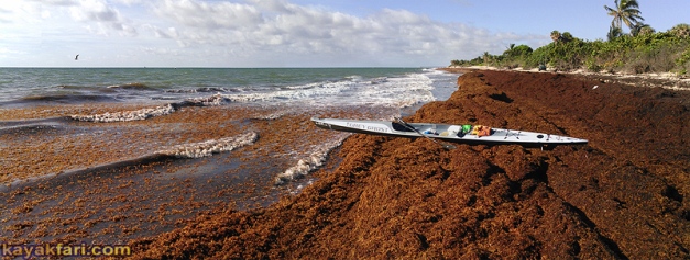 flex maslan kayakfari stellar surfski sargassum weed guard deflector rudder grey ghost kayak paddle fitness