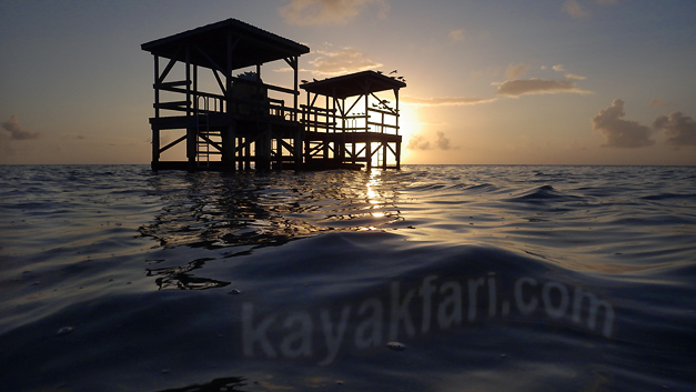 Flex Maslan kayakfari everglades kayak johnson key chickee paddle camp florida bay flamingo photography