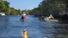 flex maslan kayakfari dania kayak ft lauderdale new year river Jerry Blackstone paddle loop canal south florida