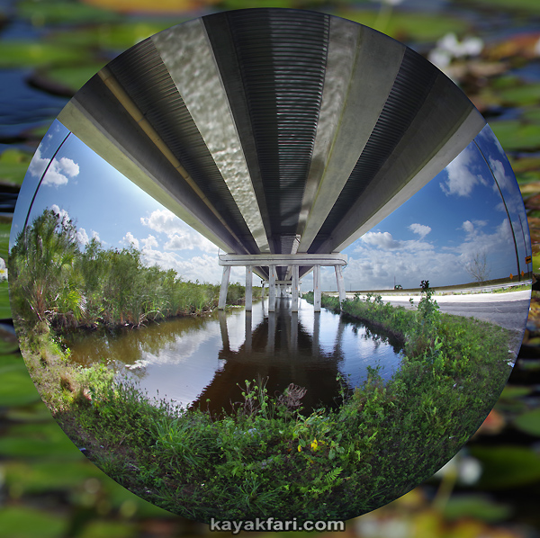 Flex Maslan Shark River Slough Everglades skyway bridge kayak River Grass kayakfari paddle water restoration tamiami